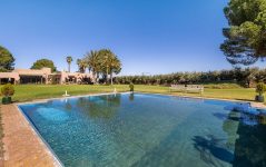 PHOTO-2026-01-29-17-32-05 PHOTO-2026-01-29-17-32-05