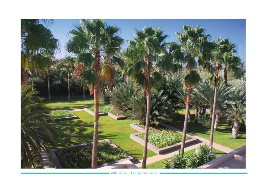 Villa S Marrakech (11)